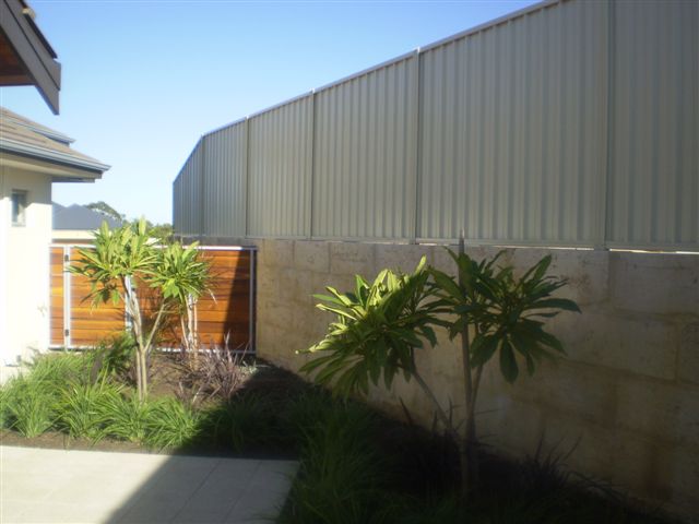 Fence and wall  garden