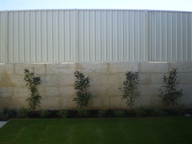 White fence and wall